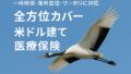 一時帰国・ワーホリに最適な米ドル建て医療保険｜全方位サポート