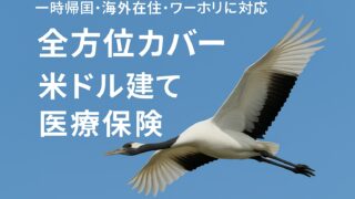 一時帰国・ワーホリに最適な米ドル建て医療保険｜全方位サポート